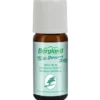 TEEBAUM ÖL KBA aus kontrolliert biologischem Anbau 10 ml