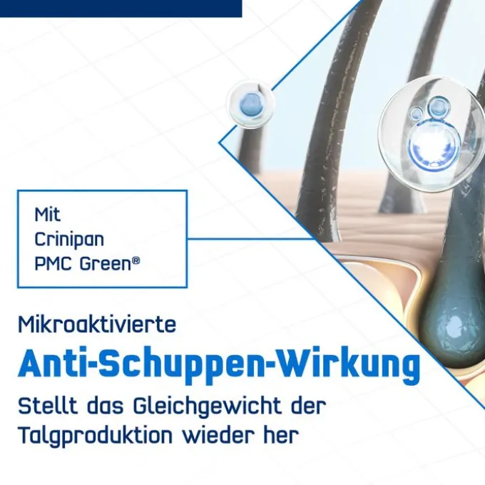 TERZOLIN Expert Shampoo bei fettiger Kopfhaut 200 ml
