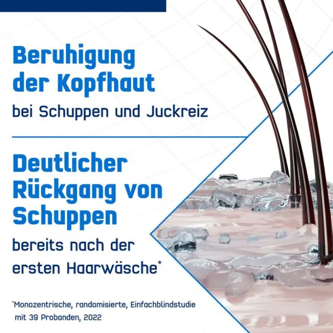TERZOLIN Expert Shampoo bei fettiger Kopfhaut 200 ml