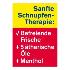 TETESEPT Schnupfen Spray 20 ml