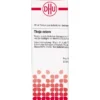 THUJA EXTERN Tinktur 20 ml