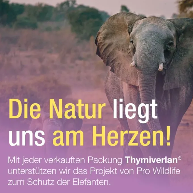 THYMIVERLAN Flüssigkeit zum Einnehmen 50 ml