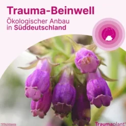 TRAUMAPLANT Schmerzcreme 50 g