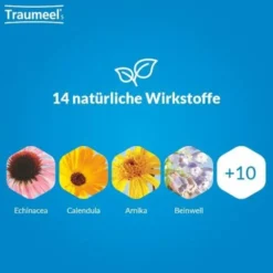 TRAUMEEL S Creme 50 g