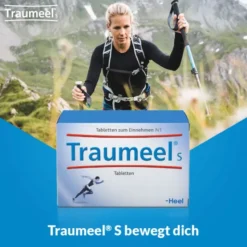 TRAUMEEL S Tabletten 250 St