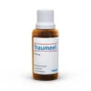 TRAUMEEL S Tropfen 100 ml