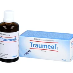 TRAUMEEL S Tropfen 100 ml