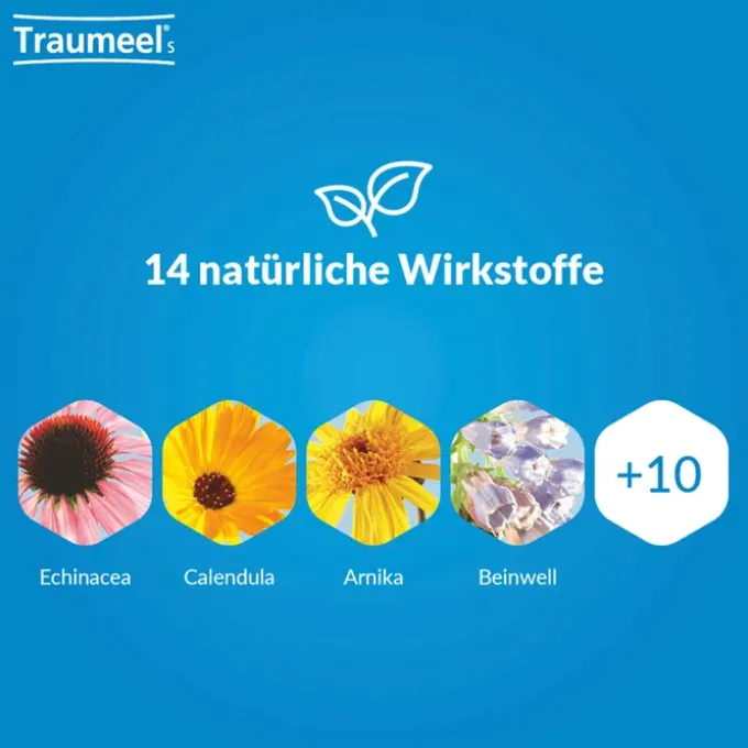 TRAUMEEL S Tropfen 30 ml