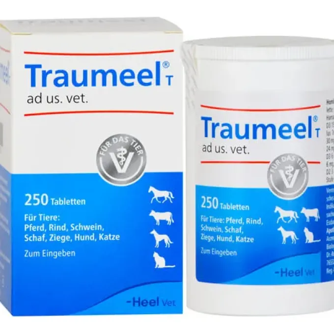 TRAUMEEL T ad us.vet.Tabletten 250 St