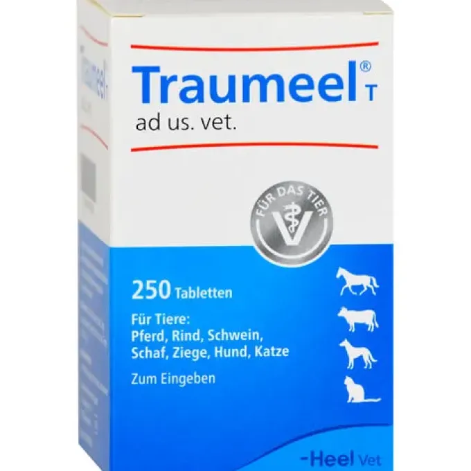 TRAUMEEL T ad us.vet.Tabletten 250 St