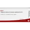 TRIGONUM vesicae et Musculus sphincter GL D 5 Amp. 10X1 ml