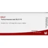 TUNICA mucosa nasi GL D 15 Ampullen 10X1 ml