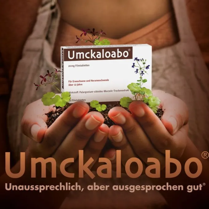 UMCKALOABO 20 mg Filmtabletten 15 St