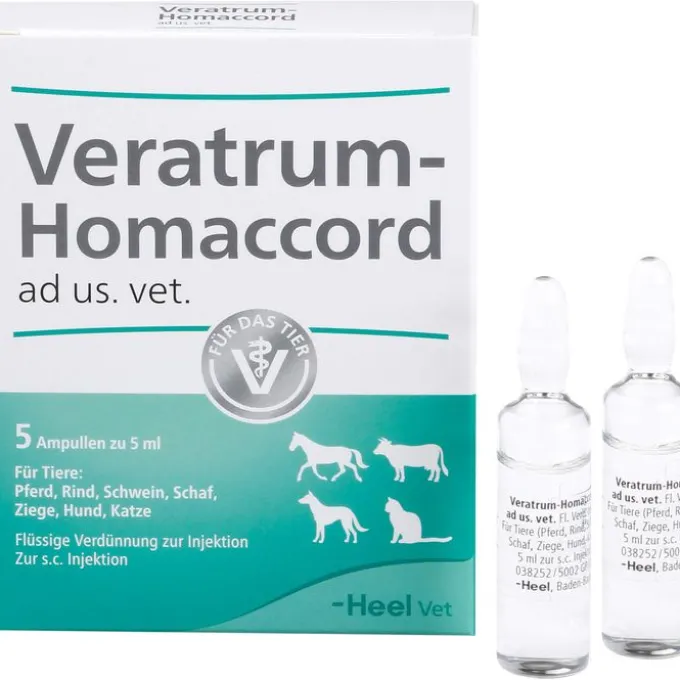 VERATRUM HOMACCORD ad us.vet.Ampullen 5 St