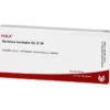 VERTEBRA lumbalis GL D 30 Ampullen 10X1 ml