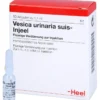VESICA URINARIA suis-Injeel Ampullen 10 St