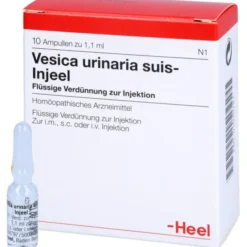 VESICA URINARIA suis-Injeel Ampullen 10 St