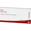 VISCUM COMP.Ampullen 10X1 ml