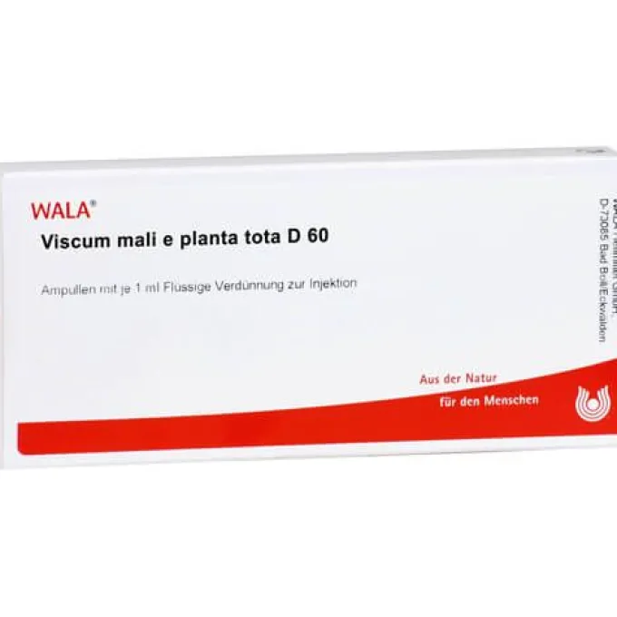 VISCUM MALI e planta tota D 60 Ampullen 10X1 ml