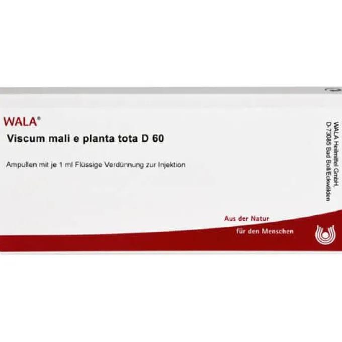 VISCUM MALI e planta tota D 60 Ampullen 10X1 ml
