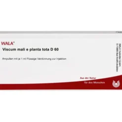 VISCUM MALI e planta tota D 60 Ampullen 10X1 ml