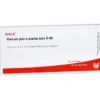 VISCUM PINI e planta tota D 60 Ampullen 10X1 ml