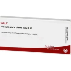 VISCUM PINI e planta tota D 60 Ampullen 10X1 ml