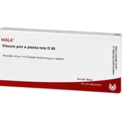 VISCUM PINI e planta tota D 60 Ampullen 10X1 ml