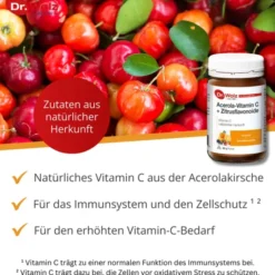 VITAMIN C+BIOFLAVONOIDE Dr.Wolz Pulver 90 g