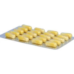 VITAMIN C+ZINK Depot Kapseln 60 Stück