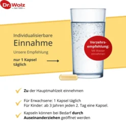 VITAMIN D2 1000 I.E. vegan Kapseln 60 Stück