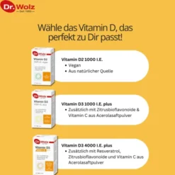 VITAMIN D2 1000 I.E. vegan Kapseln 60 Stück