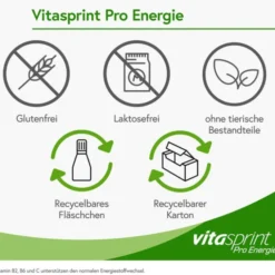 VITASPRINT Pro Energie Trinkfläschchen 24 Stück