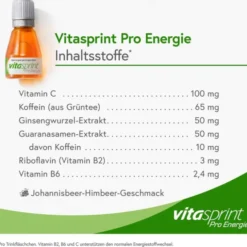 VITASPRINT Pro Energie Trinkfläschchen 24 Stück