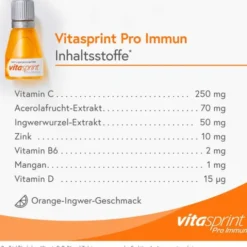 VITASPRINT Pro Immun Trinkfläschchen 24 Stück