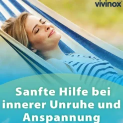 VIVINOX Nervenruhe Baldr.+Mel.+Passion.Beruh.Drag. 40 St