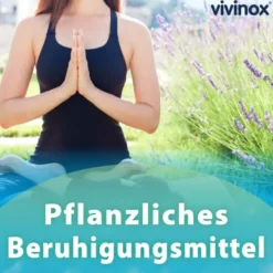 VIVINOX Nervenruhe Baldr.+Mel.+Passion.Beruh.Drag. 40 St