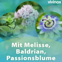 VIVINOX Nervenruhe Baldr.+Mel.+Passion.Beruh.Drag. 40 St