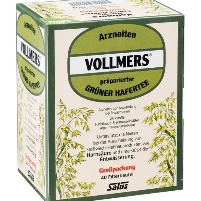 VOLLMERS präparierter grüner Hafertee Filterbeutel 40 Stück