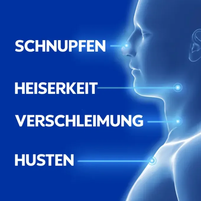 WICK VapoRub Erkältungssalbe 100 g