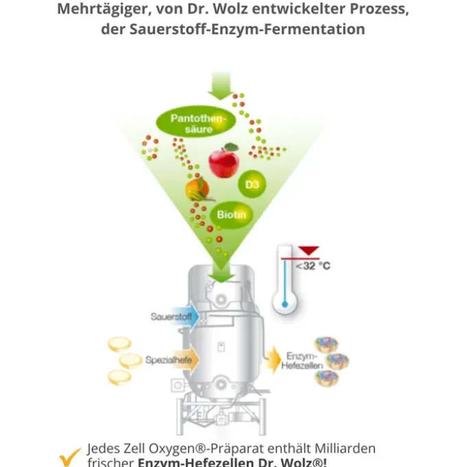 ZELL OXYGEN Formula Trinkampullen 14 Stück