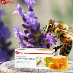 ZELL OXYGEN+Gelee Royale 600 mg Trinkampullen 14 Stück