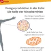 ZELL OXYGEN plus flüssig 250 ml