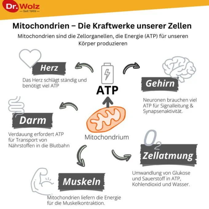 ZELL OXYGEN plus flüssig 250 ml