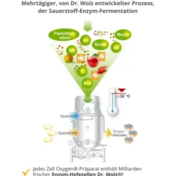 ZELL OXYGEN ZYM Anti-Aging 14 Tage Kombipackung 1 Stück