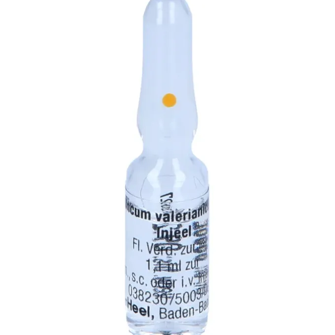ZINCUM VALERIANICUM INJEEL Ampullen 10 St