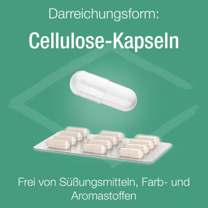 ZINK VERLA C purKaps 60 Stück