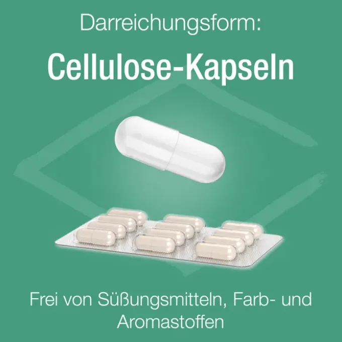 ZINK VERLA C purKaps 60 Stück