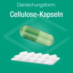 ZINK VERLA immun Caps 40 Stück